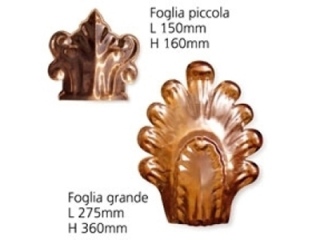 foglia_piccola_grande